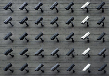 Between the Wealth Gap and the Surveillance State: Globalization