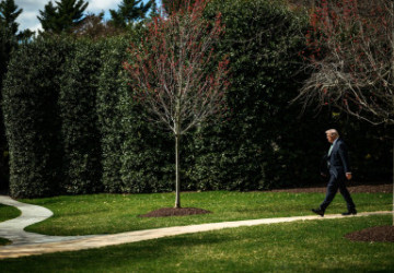 Iran's Denials v. Trump's Statecraft