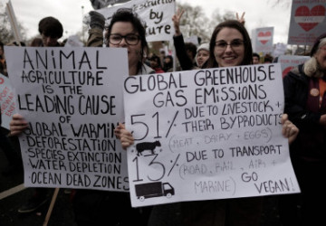 It’s Time for Environmental Advocates like A.O.C. to Stop Eating Meat