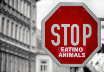 Should You Stop Eating Meat to Save the Planet?