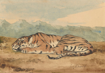 The Tiger and the Strawberry