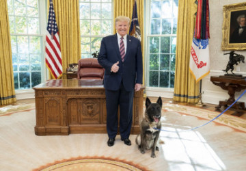 Top Dog Receives Top Honors at the White House