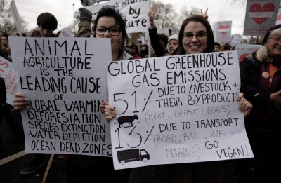 It’s Time for Environmental Advocates like A.O.C. to Stop Eating Meat