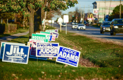Polls, Damned Polls, and Statistics
