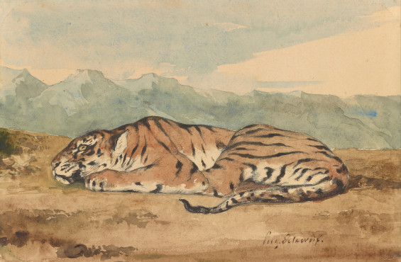 The Tiger and the Strawberry