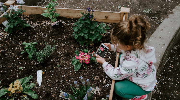 Beat the Covid-19 Summertime Blues: Grow a Garden