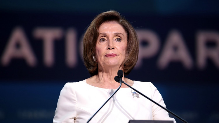 House Democrats Disappoint in the 2020 Election