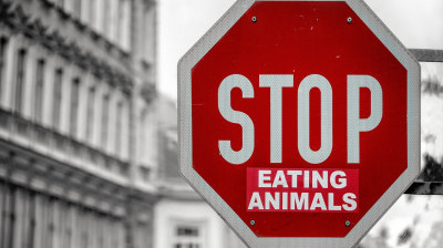Should You Stop Eating Meat to Save the Planet?