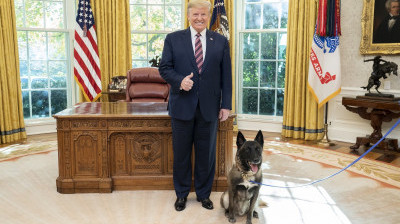 Top Dog Receives Top Honors at the White House