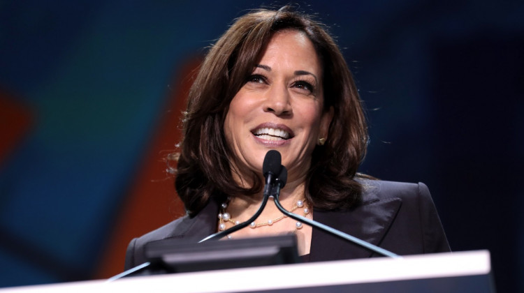 Will the Progressive Left Accept Kamala Harris?